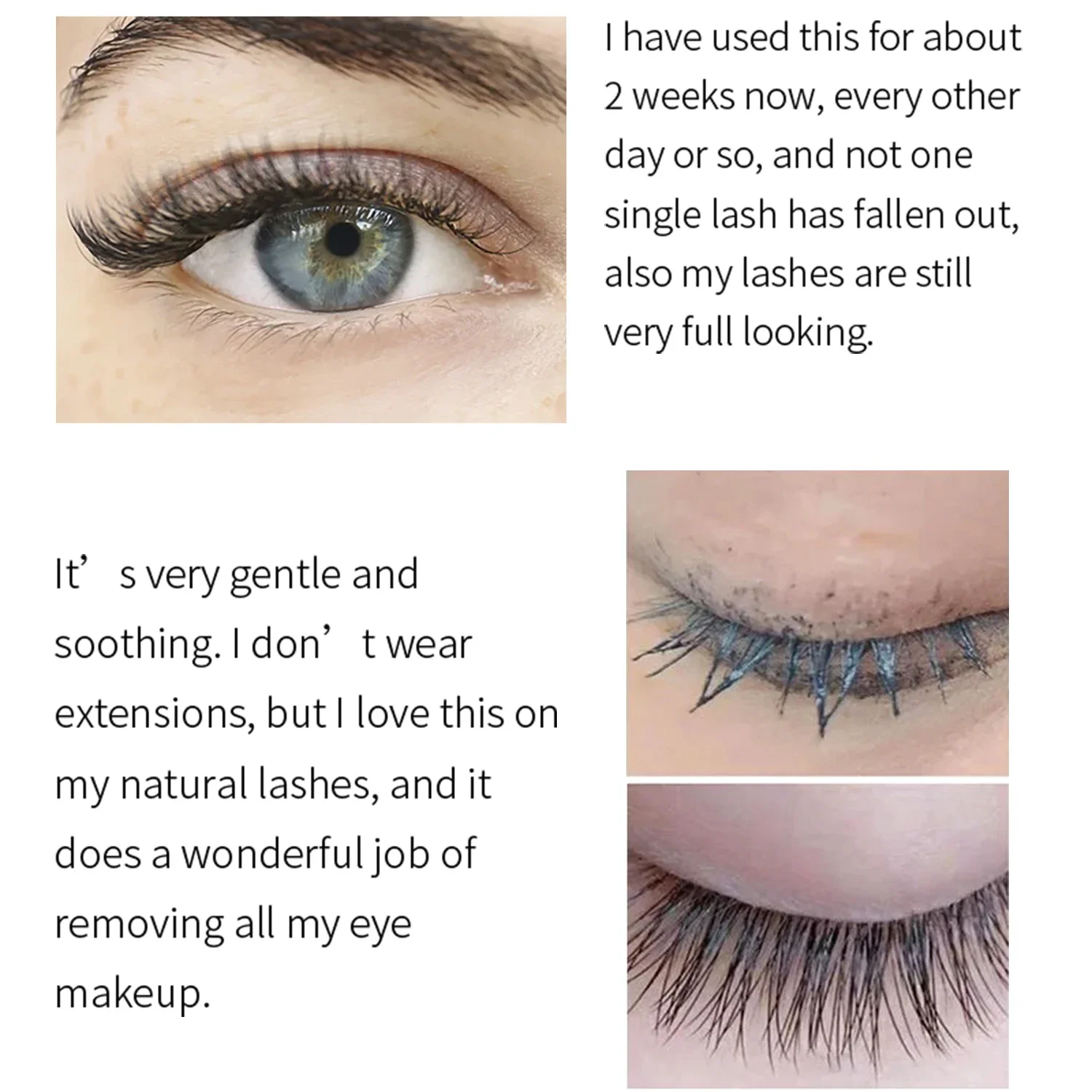 Eyelash Extension Cleanser Sha - مراجعة Eyelash Extension Foam Cleanser وسعره